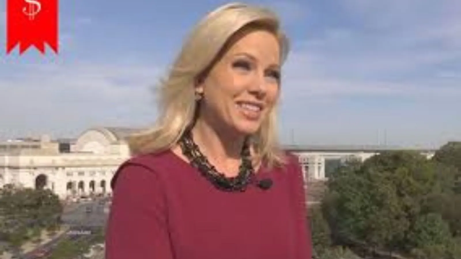 Shannon bream net worth